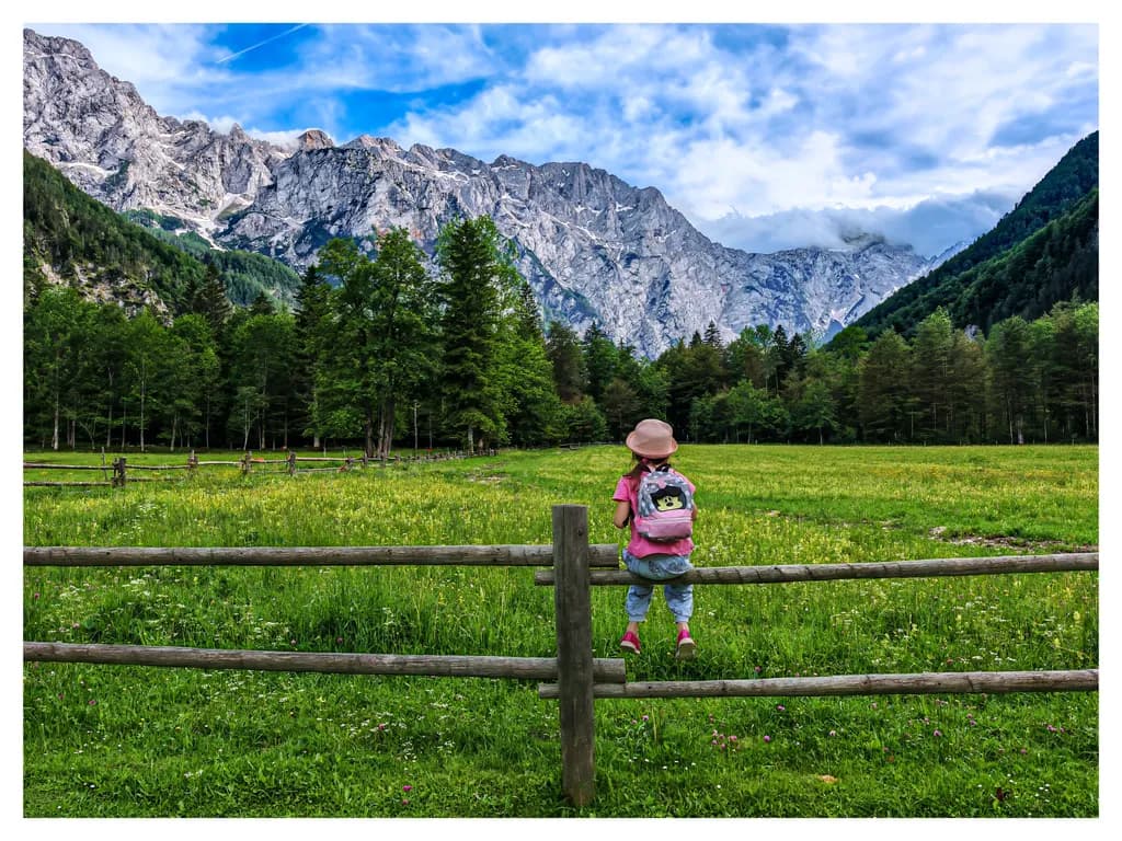 Mountain Daydream