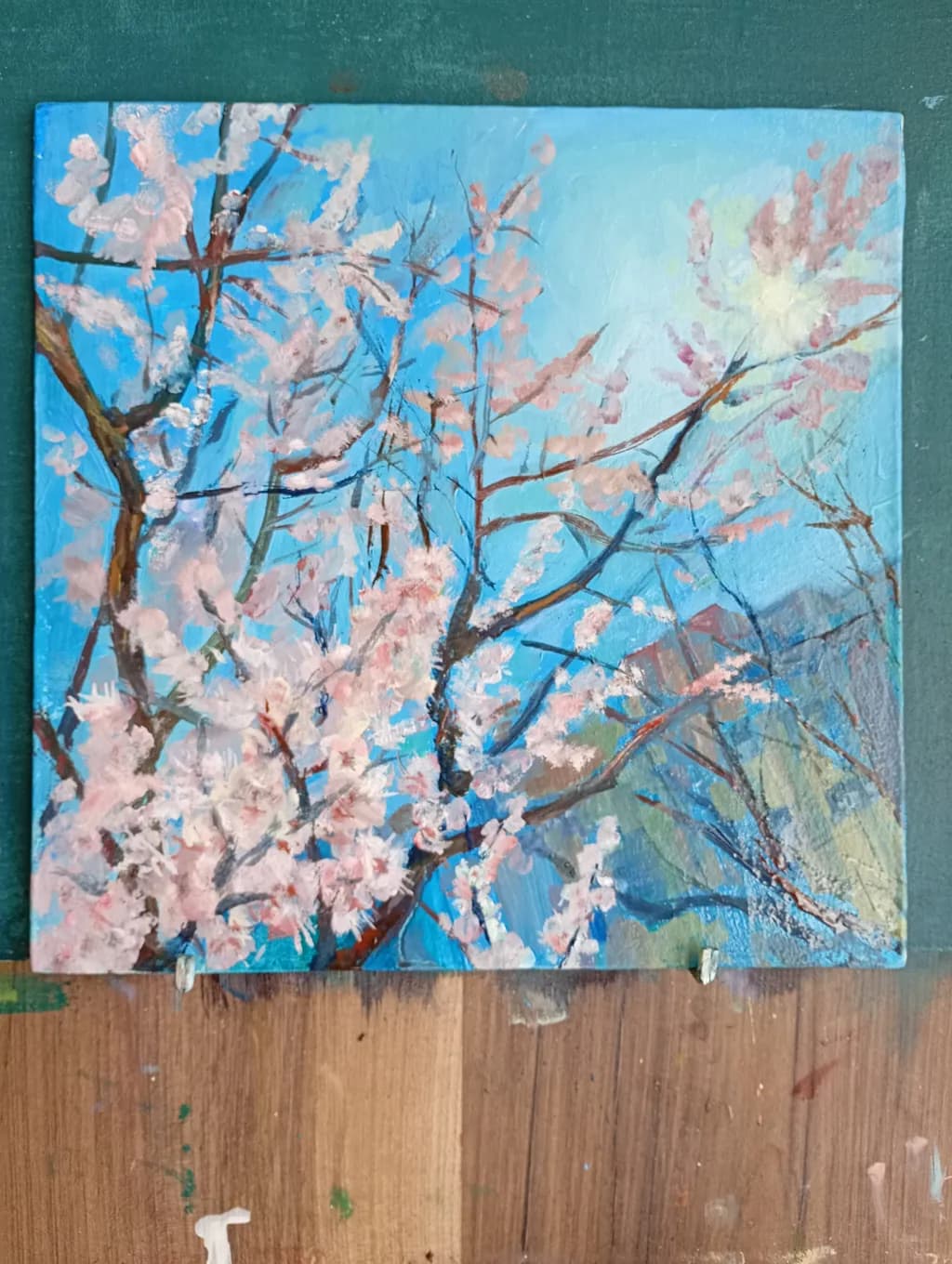 Spring Blossoms View
