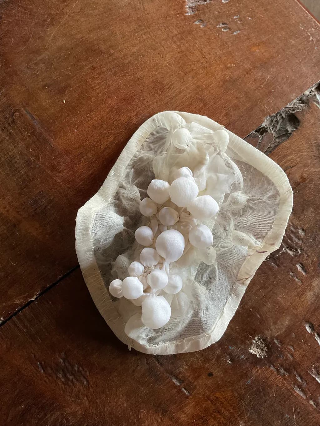 Whispers of Nature: Ethereal White Textures on Organic Fabric