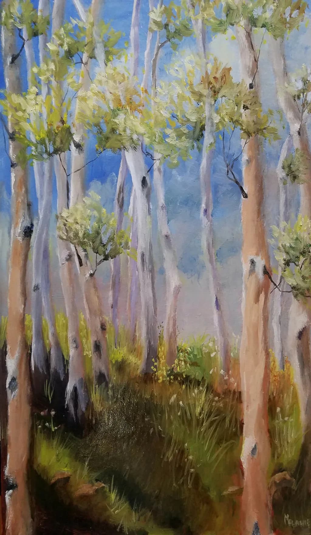Whispers of the Forest: A Serene Journey Through Sunlit Trees