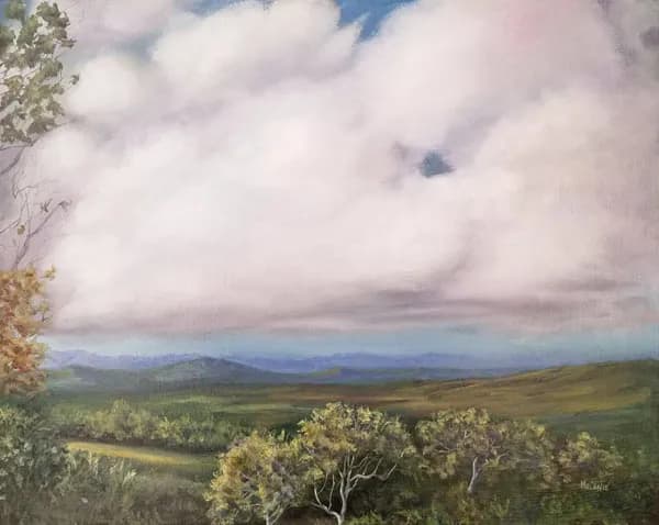 Mt Tambourine