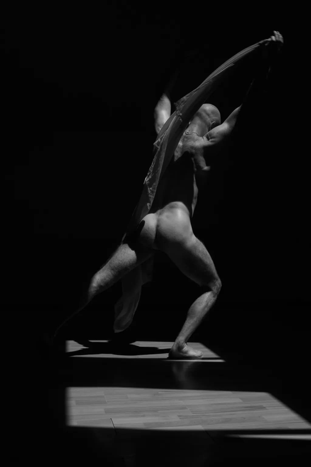 Shadow Dancer