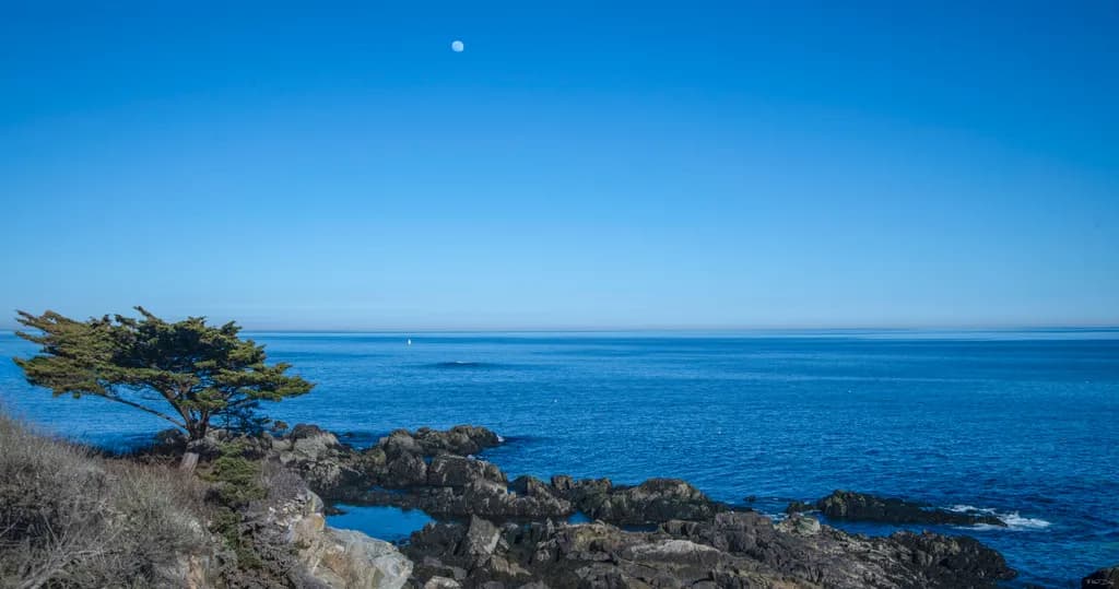 Moonlit Coastline