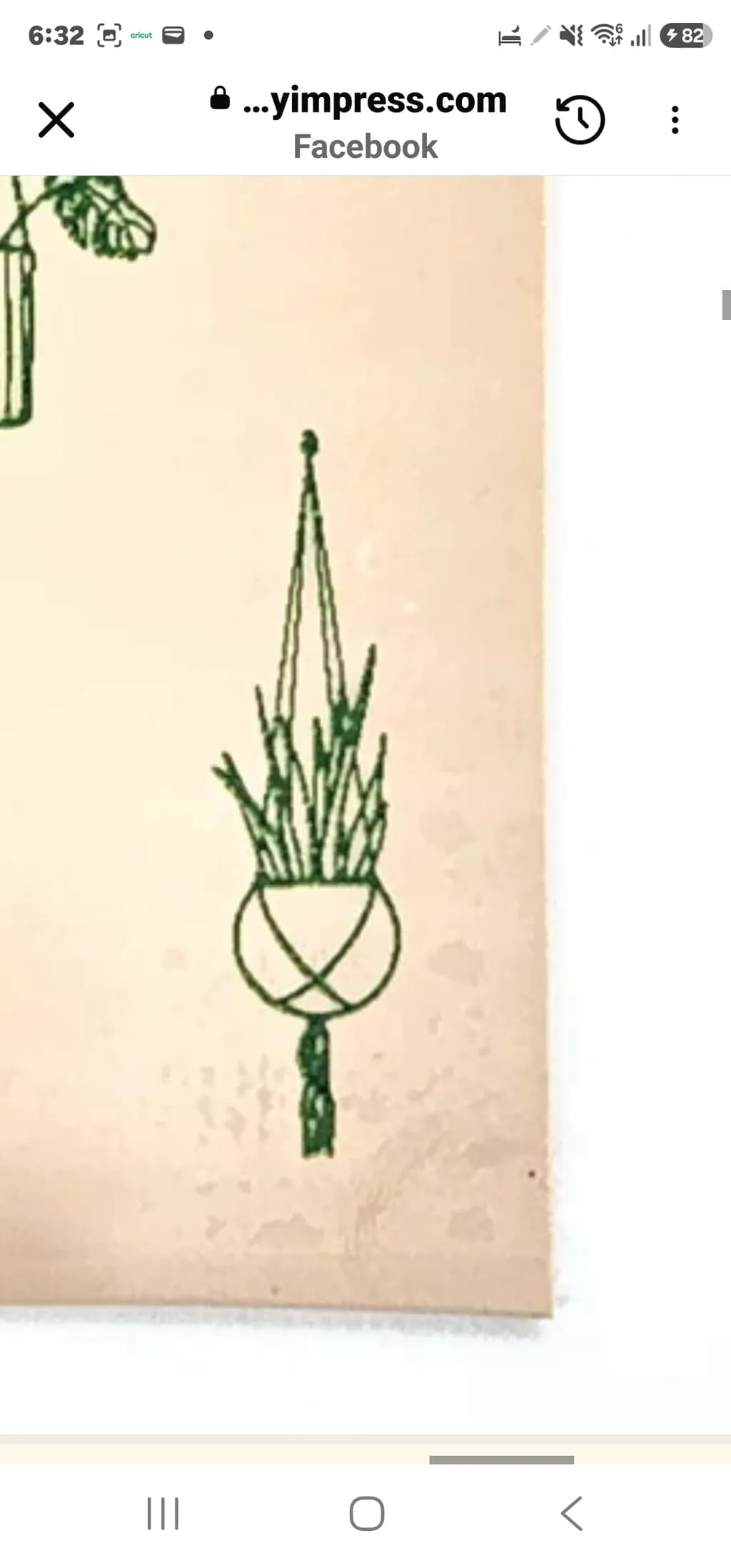 Hanging Plant Linework