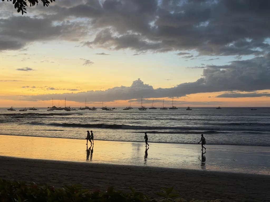Golden Tide Walk