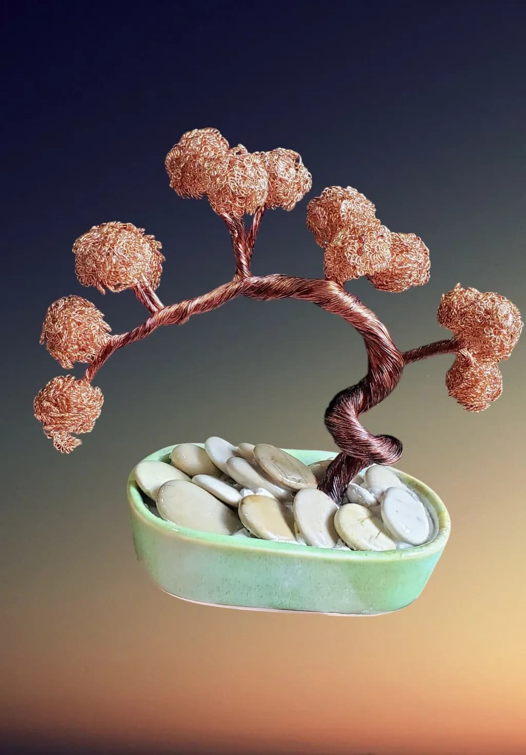 Copper Bonsai Curves