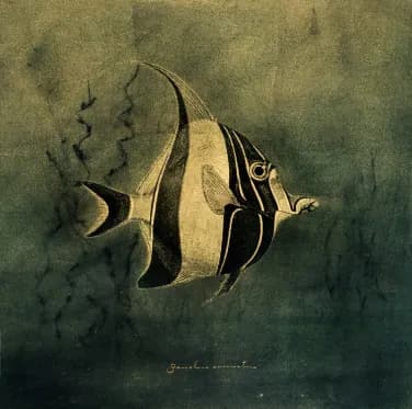 Dancing Shadows: The Playful Journey of a Striped Fish