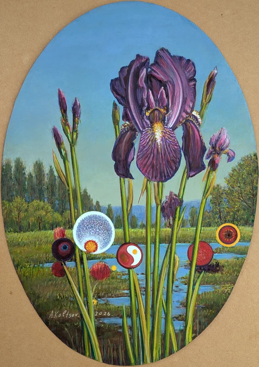 Iris purple.