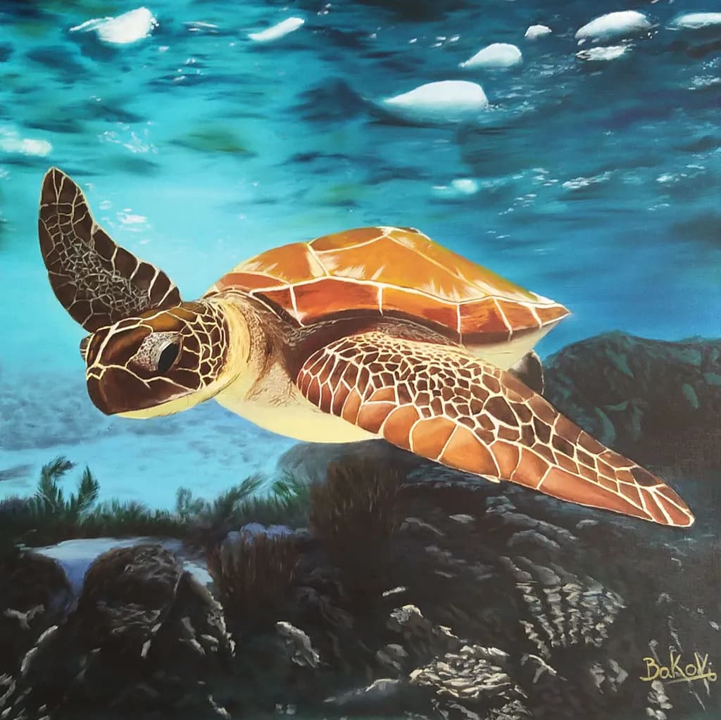 Underwater Turtle