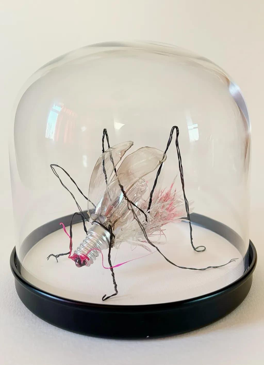 Lightbulb Bug