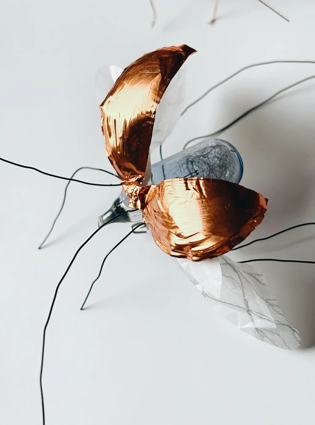 Copper Whimsy