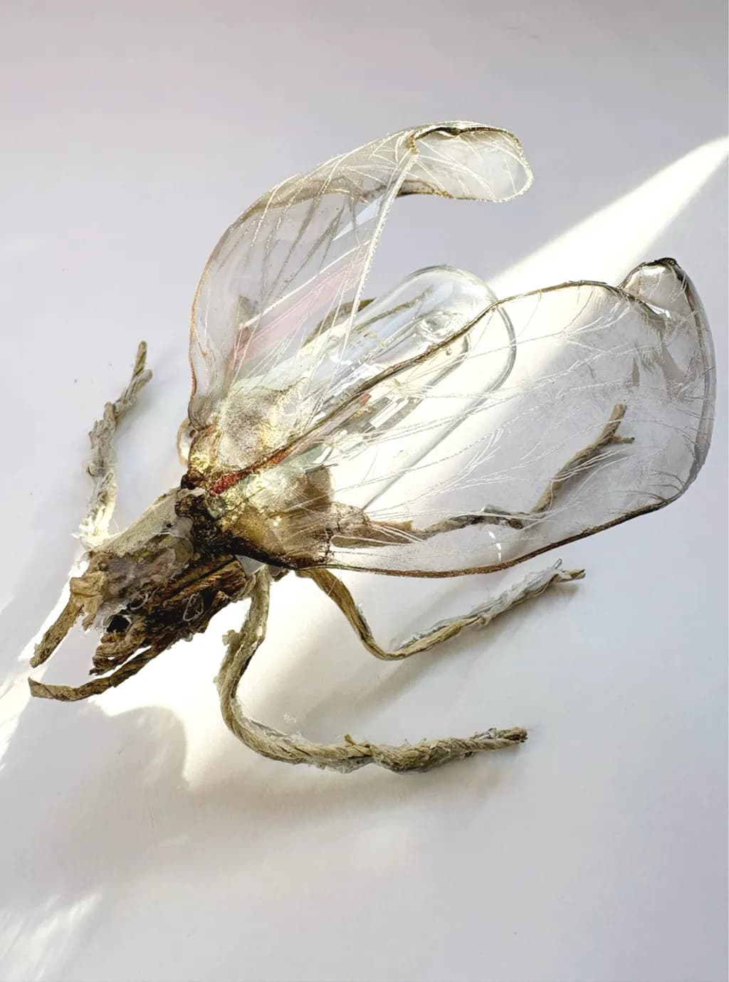Translucent Whimsy