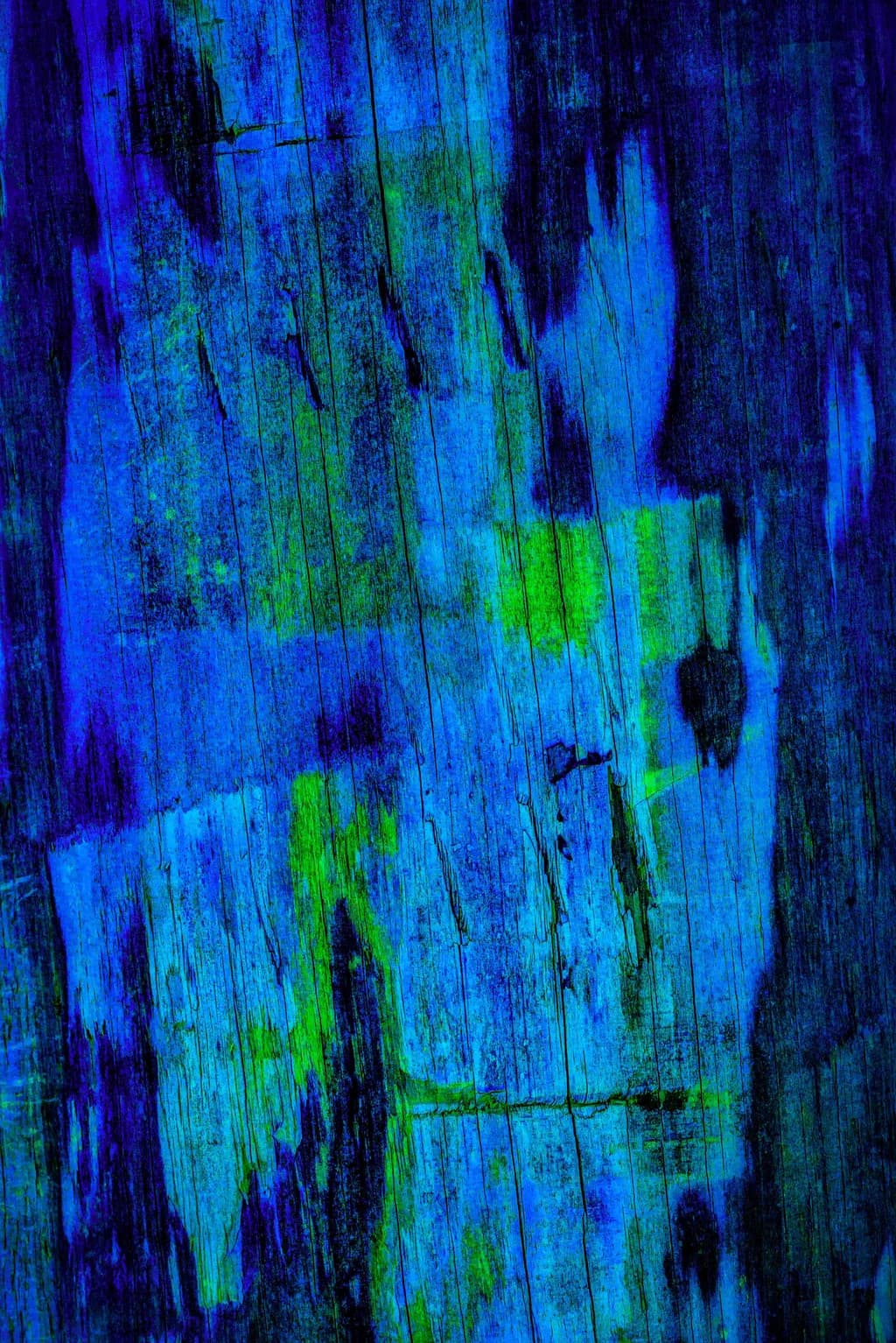 Whispers of the Forest: An Abstract Journey Through Blue and Green Textures