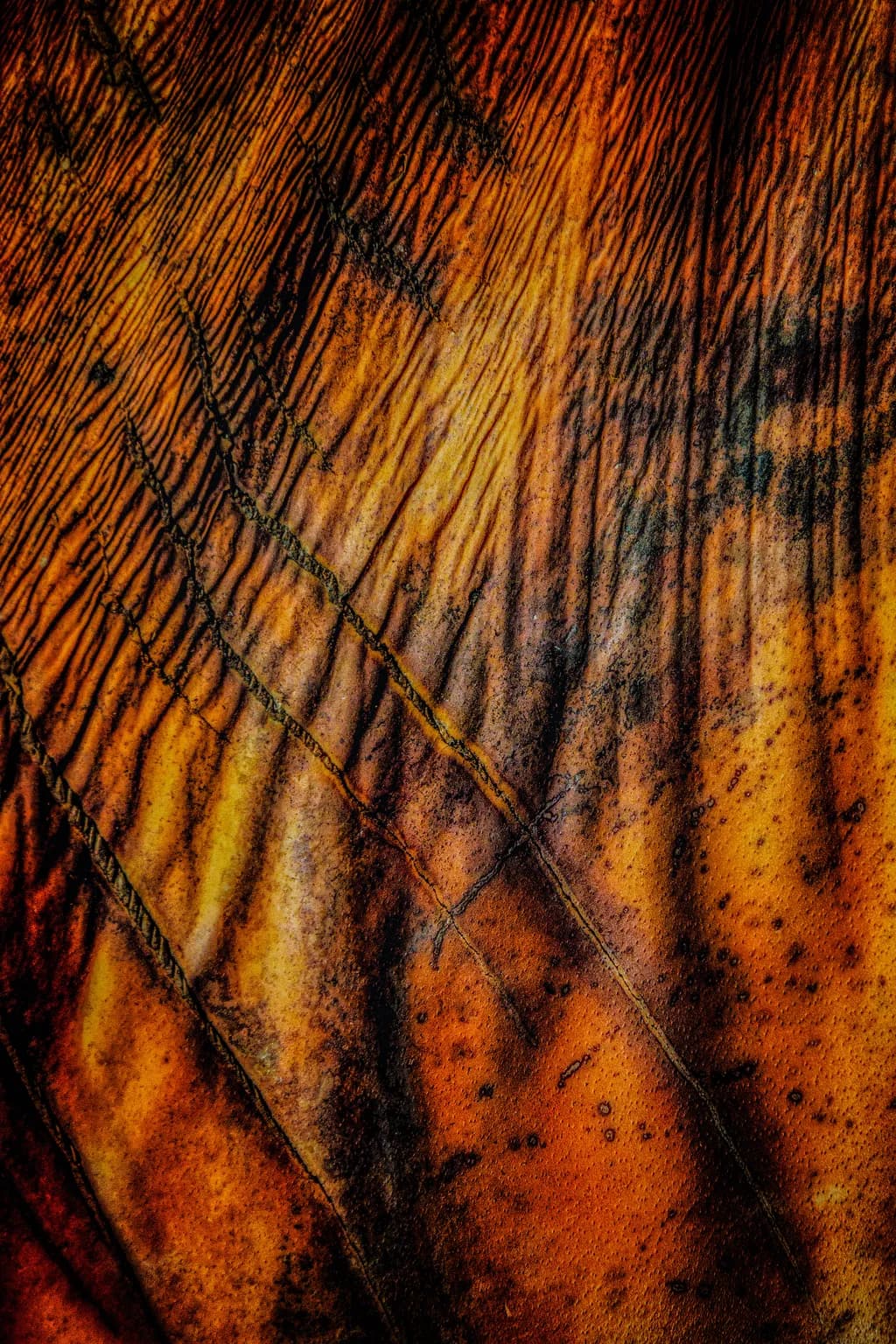 Rustic Echoes