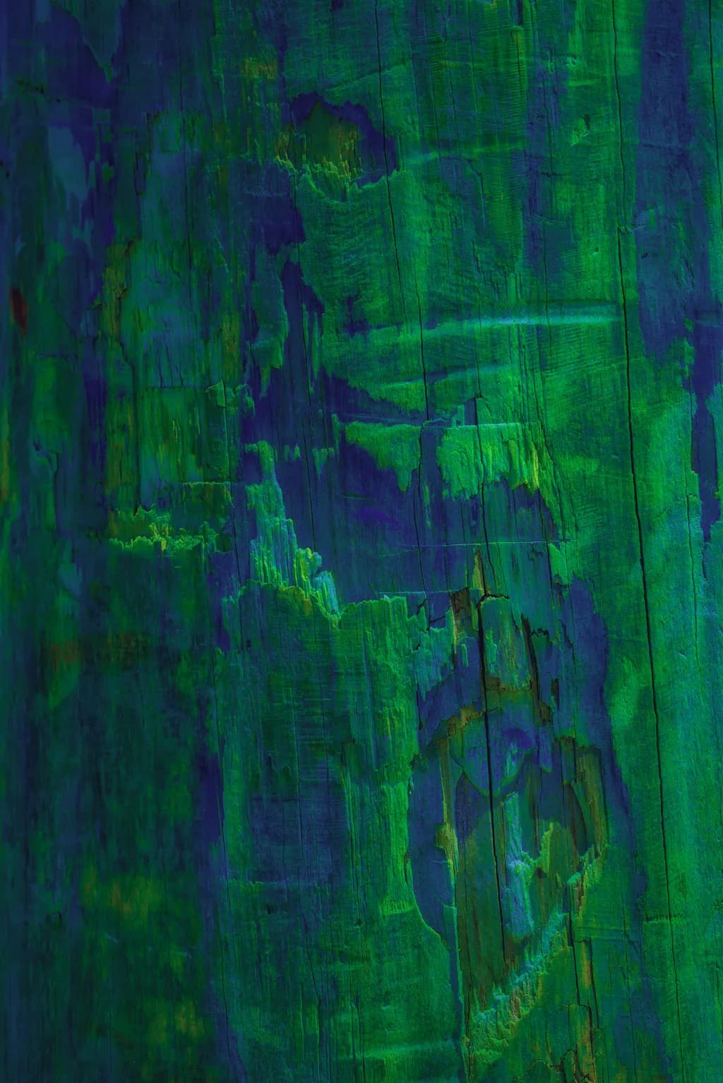 Emerald Echoes