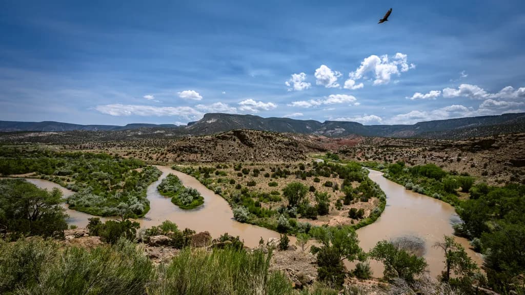 Wings Above Abiquiú