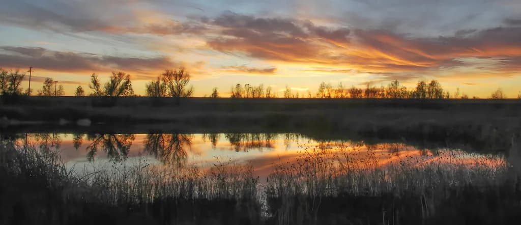 Whispers of Dusk: A Tranquil Reflection on Nature's Canvas