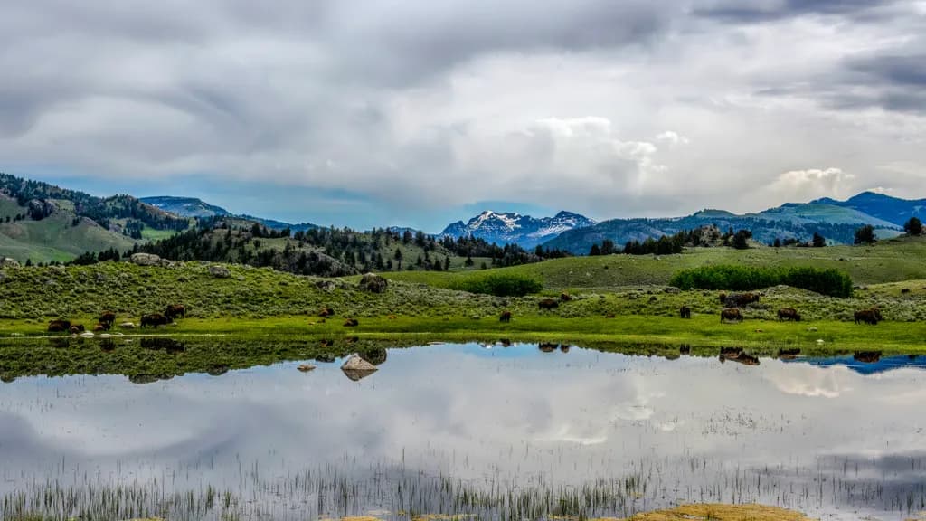 "Whispers of Serenity: Reflections in the Ruby Mountains"
