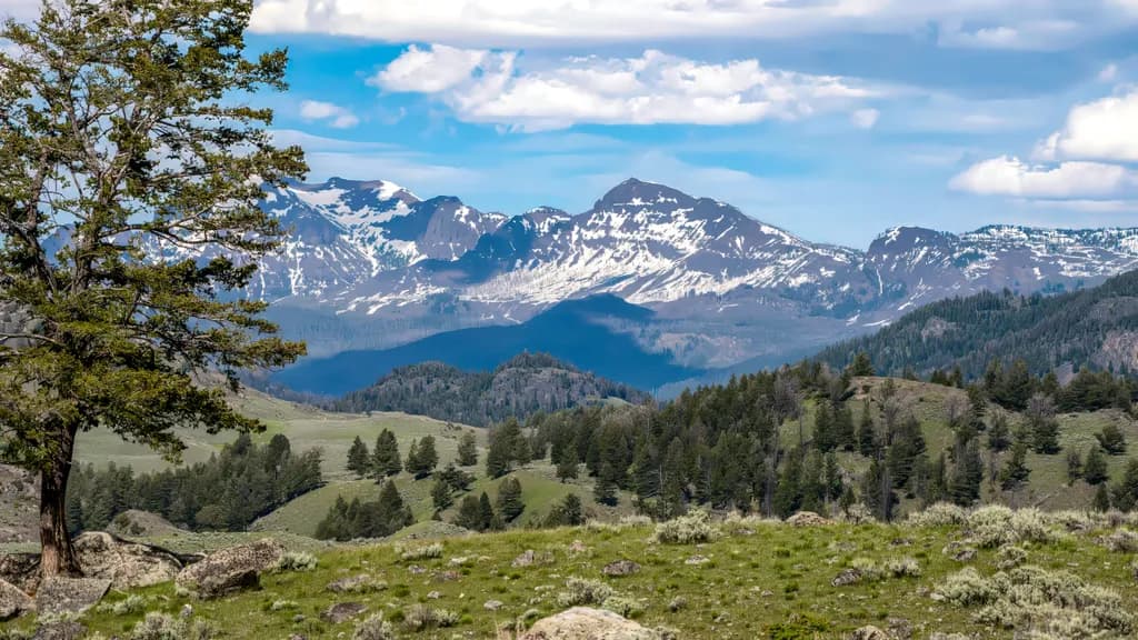 Whispers of the Ruby Mountains: A Serene Landscape Journey Through Nature's Majesty