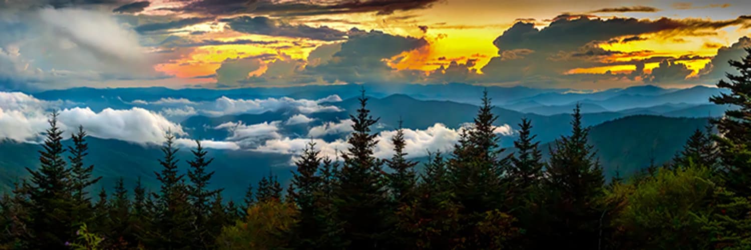 Profilbanner