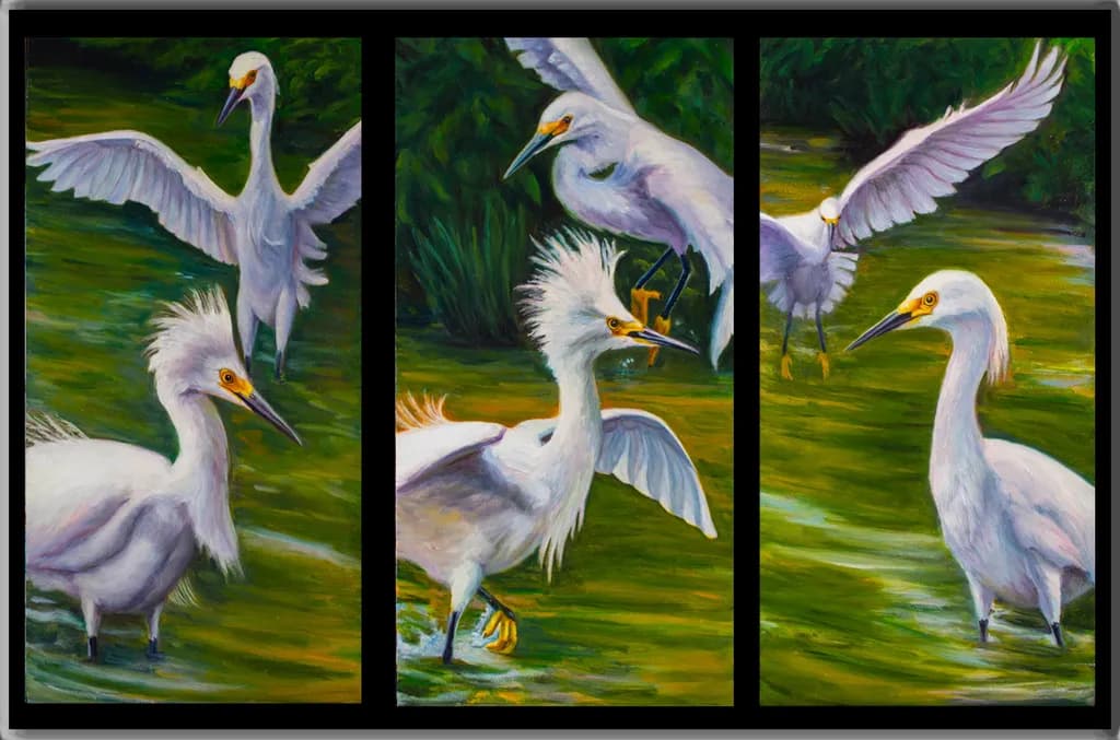 The Egrets of Stony Brook