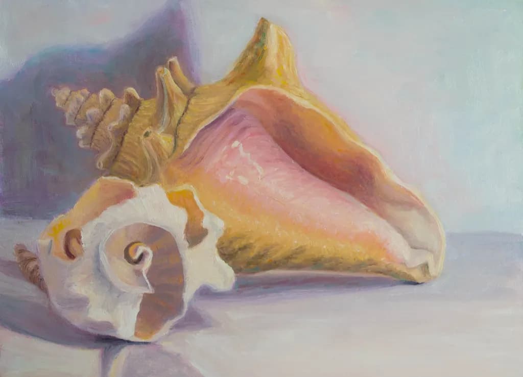 Conch Study