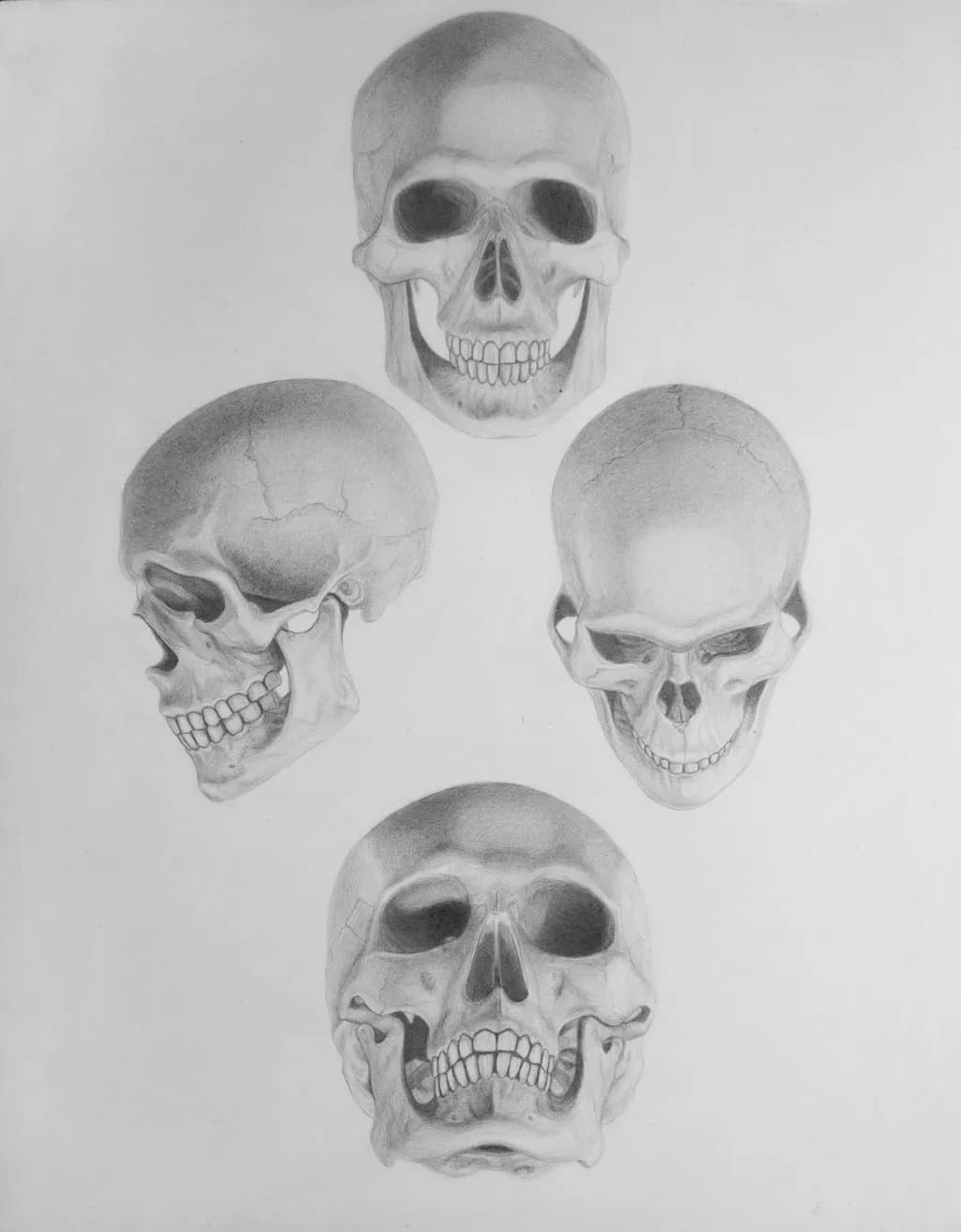 Four Views