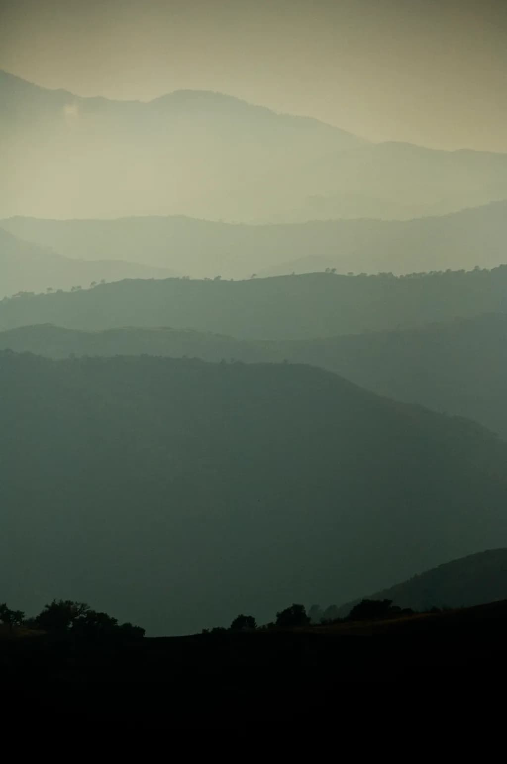 La Zagaletta Layers