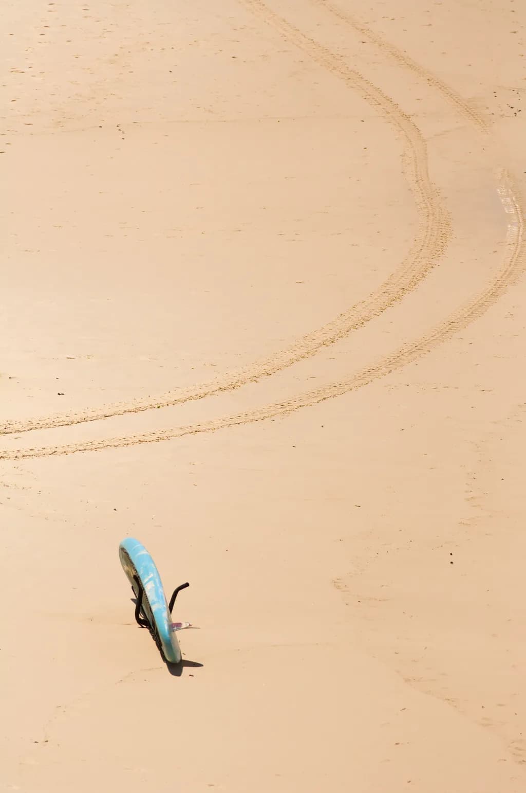 BondiEX Trail