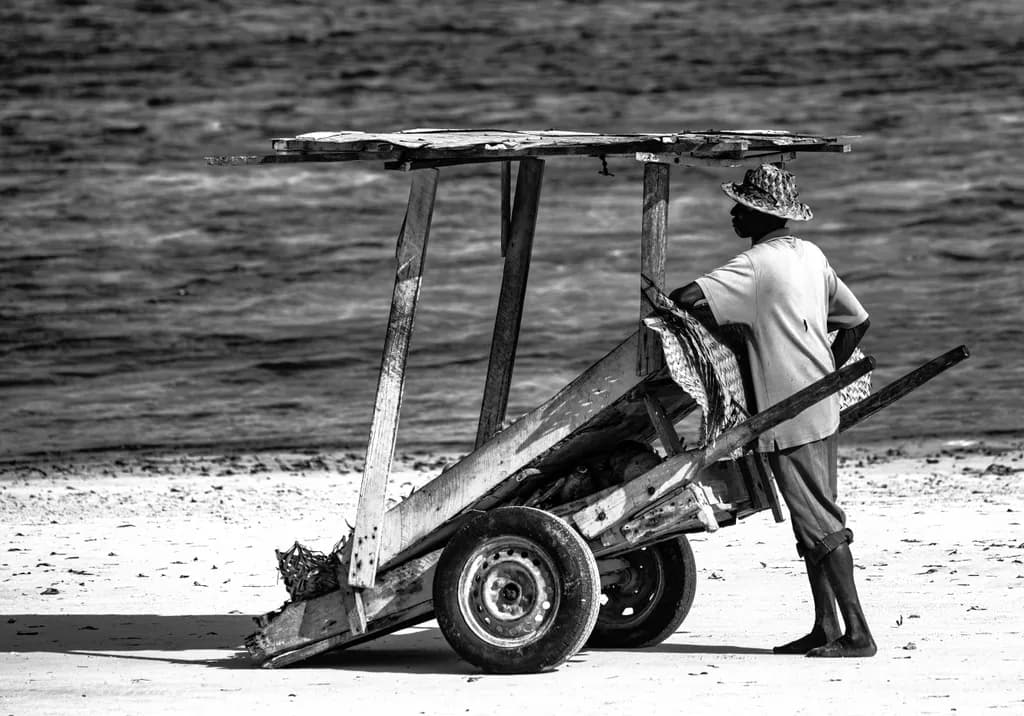 Cart Watcher