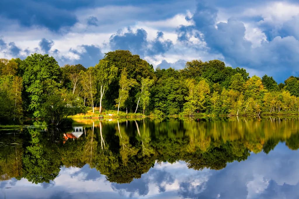 Mirror Grove Reflections