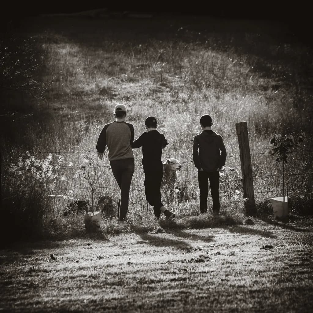 Boys at Fence