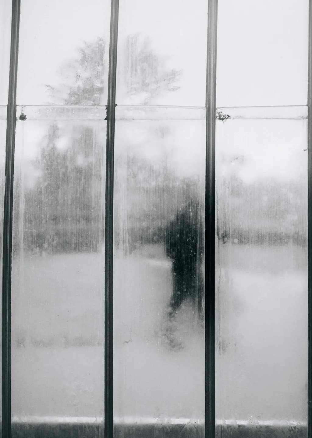 Fogged Window Silhouette