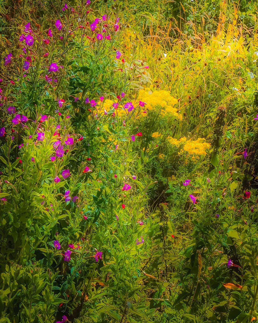 Wild Summer Bouquet