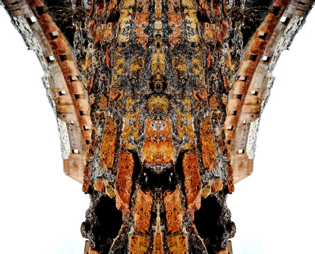 Imperatore Reflection