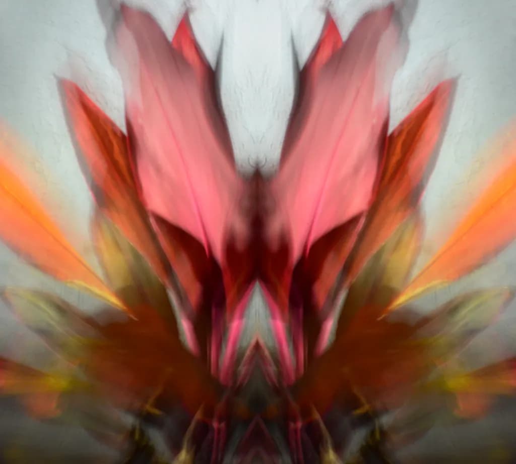 Red Night Bloom