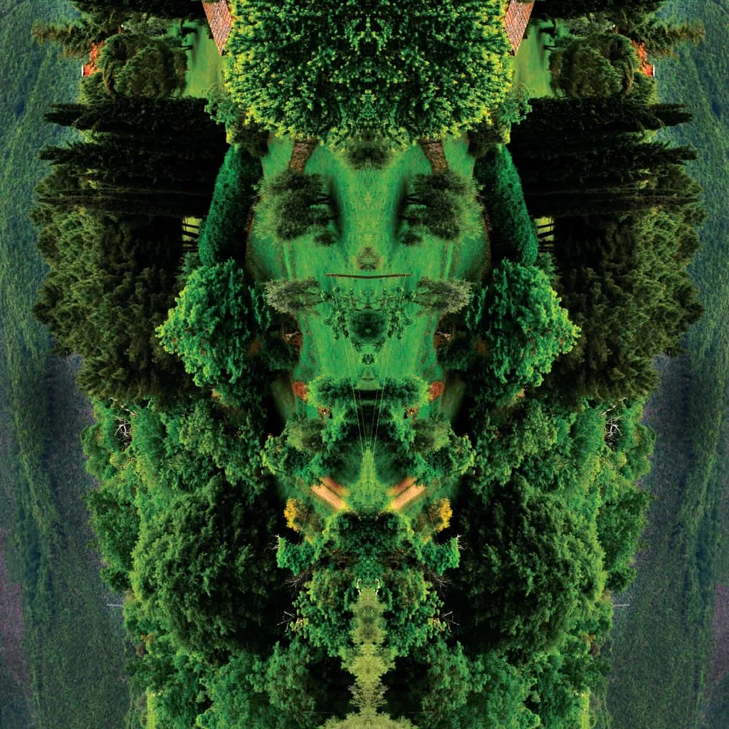Echoes in Green