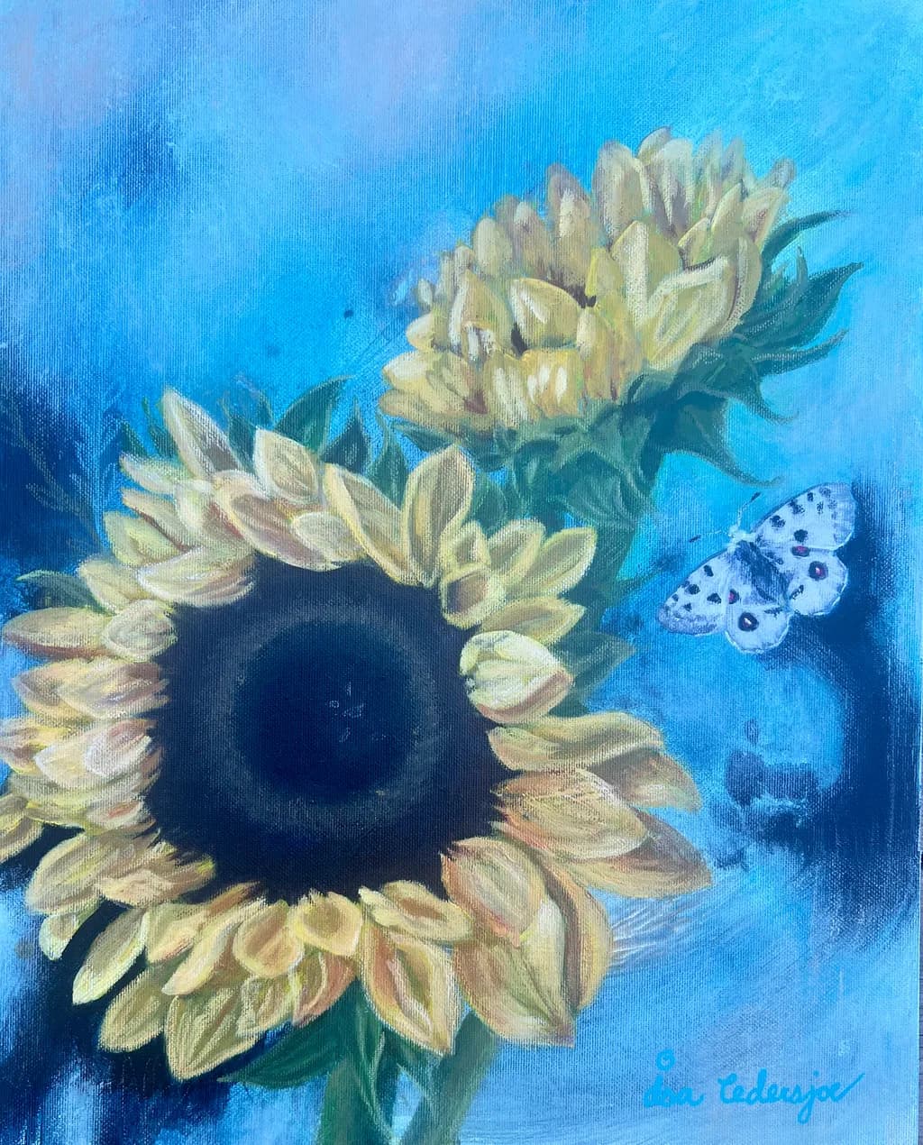 Sunflower Pause