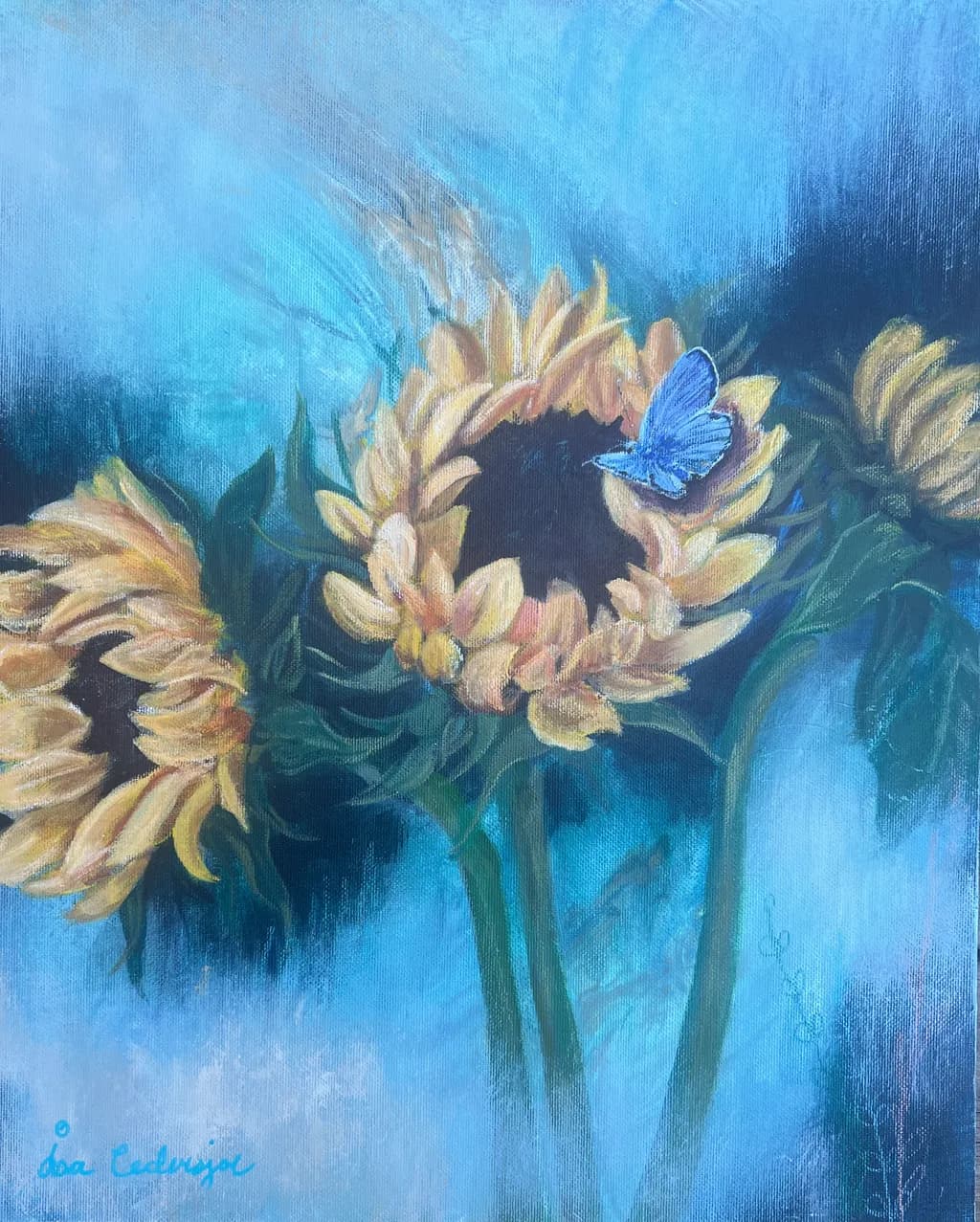 Blue Visitor on Sunflowers
