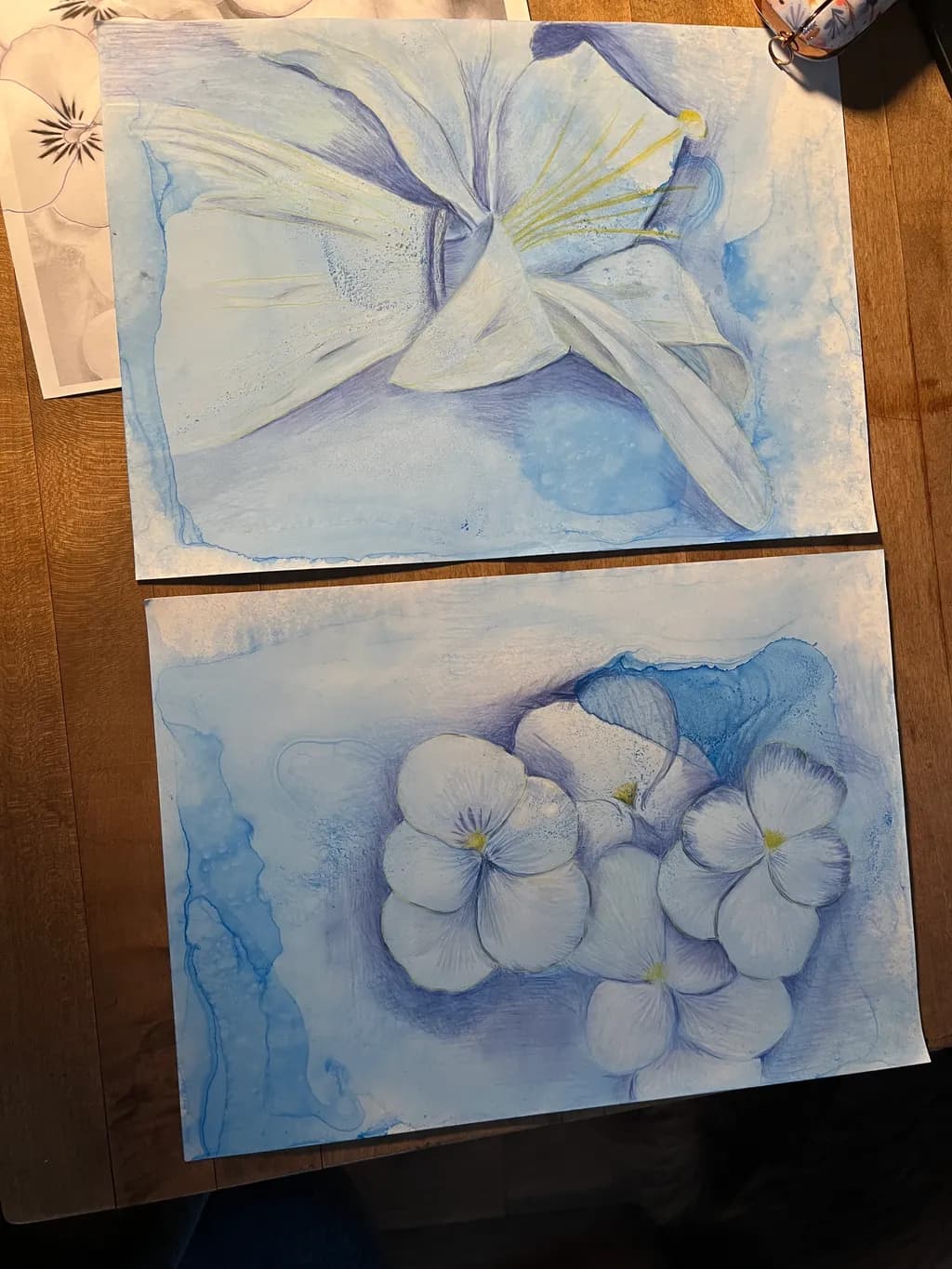 Blue Blossom Study