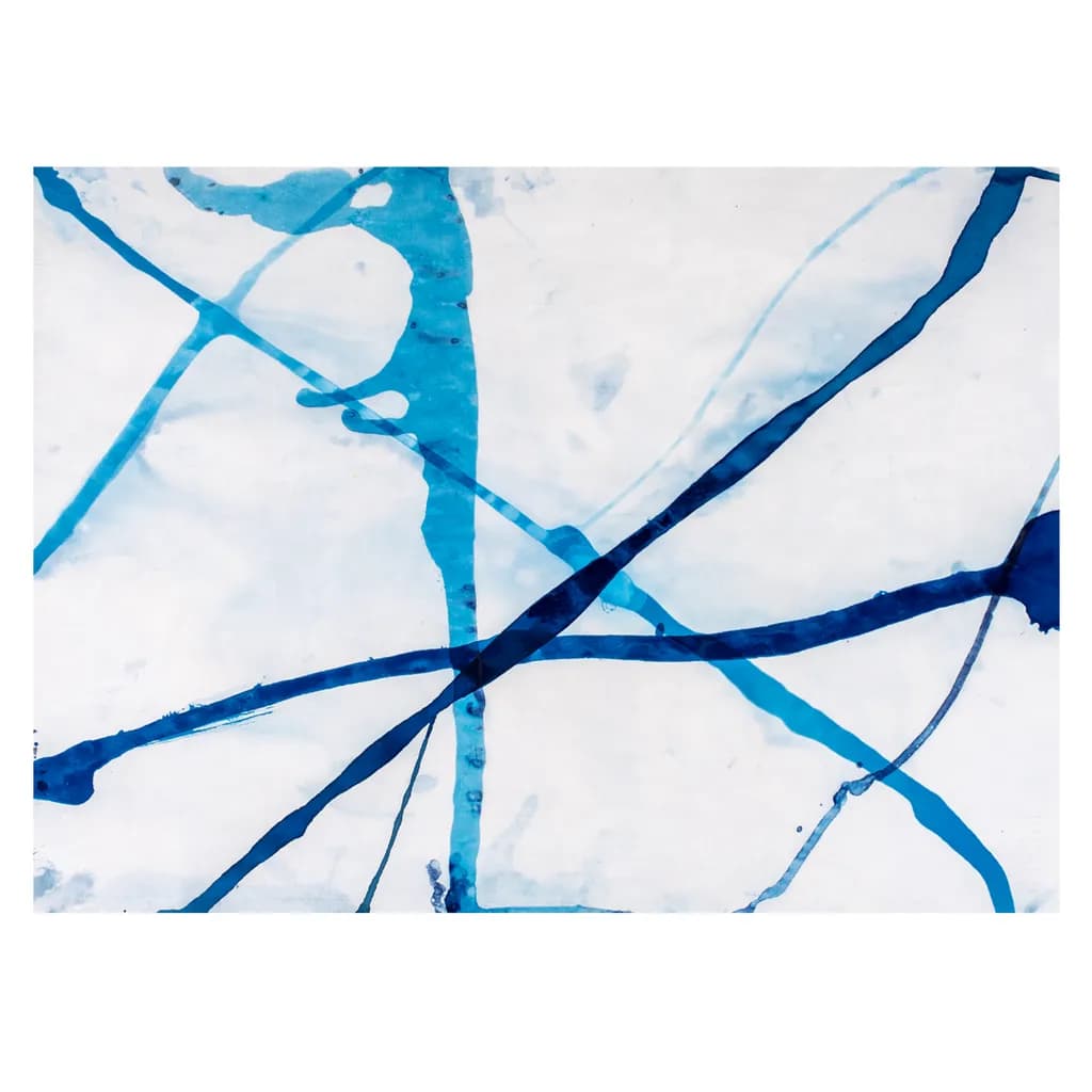 Traces and Paths