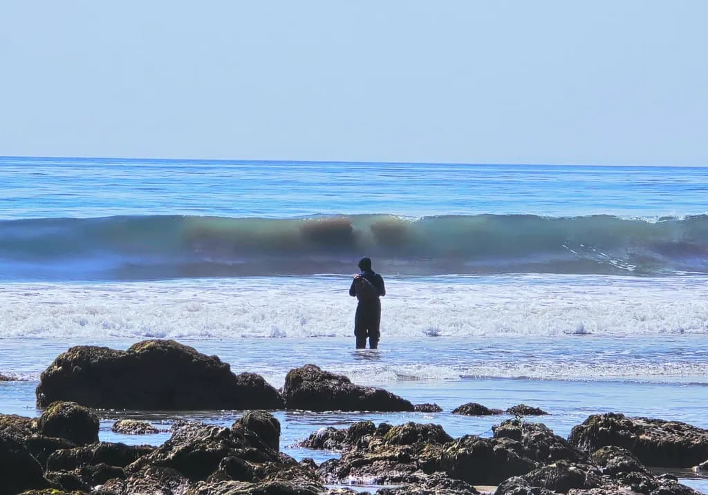 Sea Shore Silence