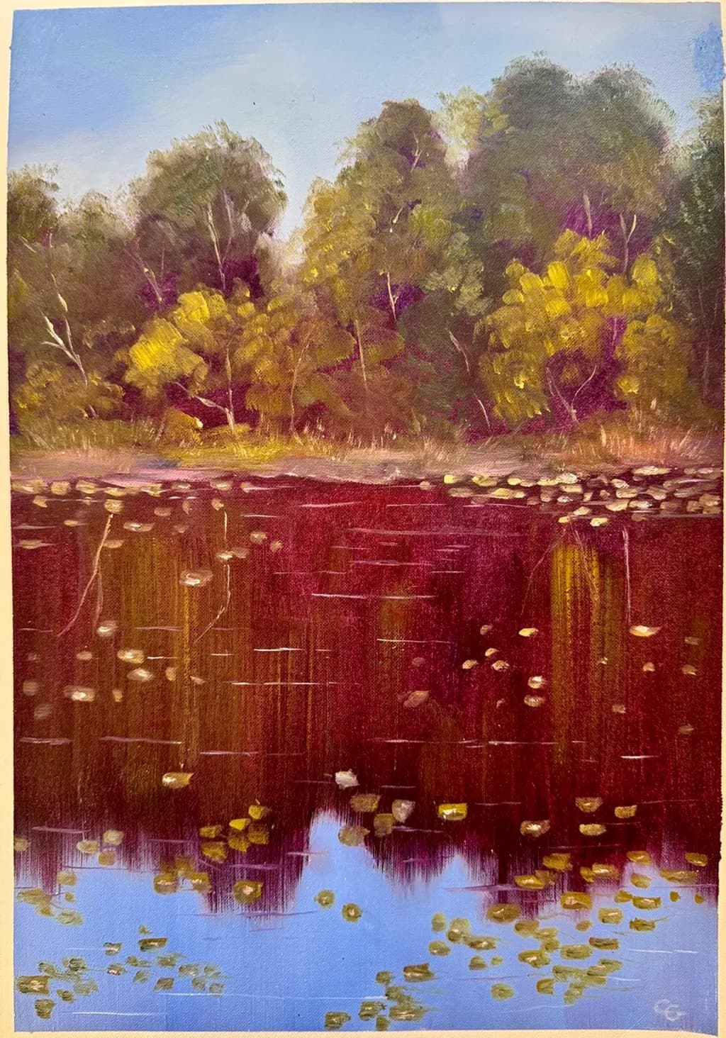Reflections