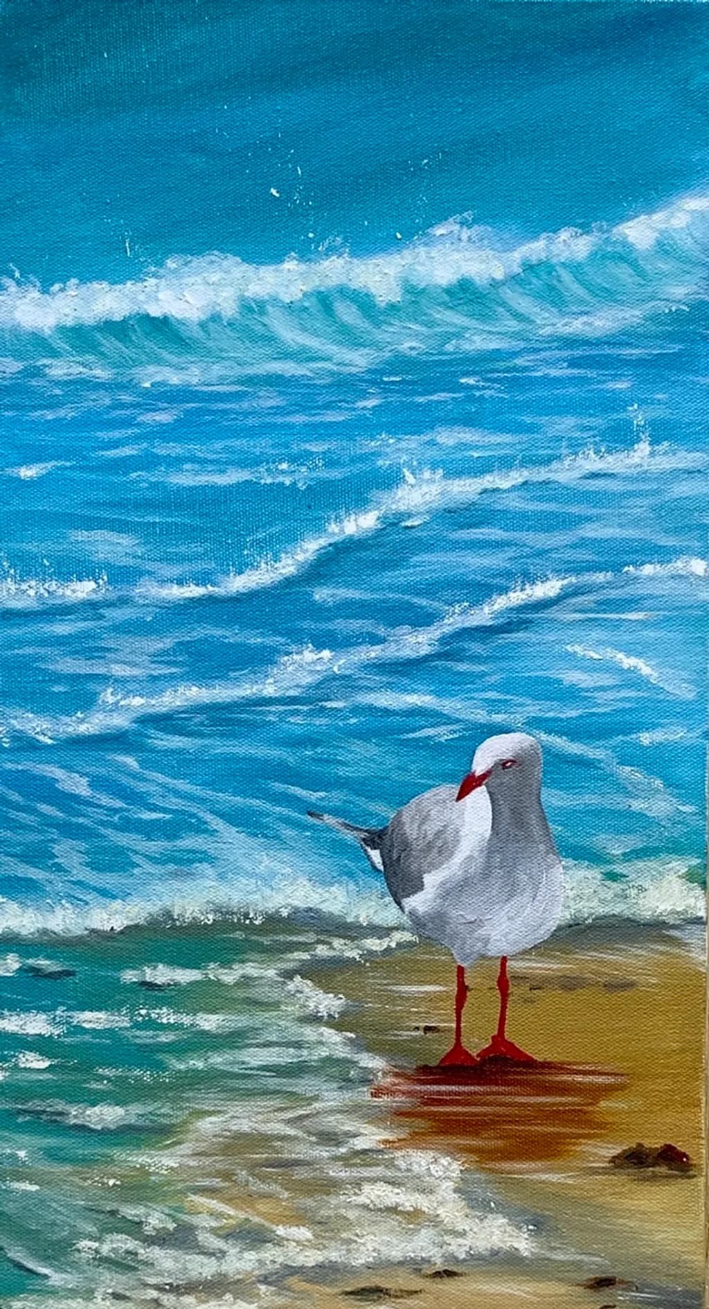 Beach Seagull