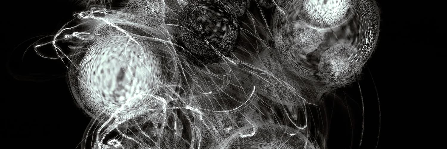 Profilbanner