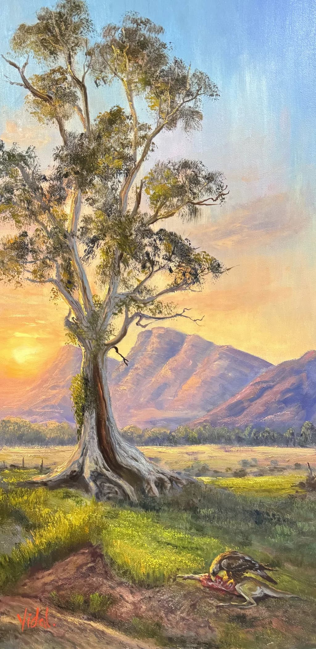 Eucalyptus Dusk