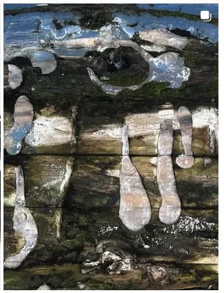 weathered memories