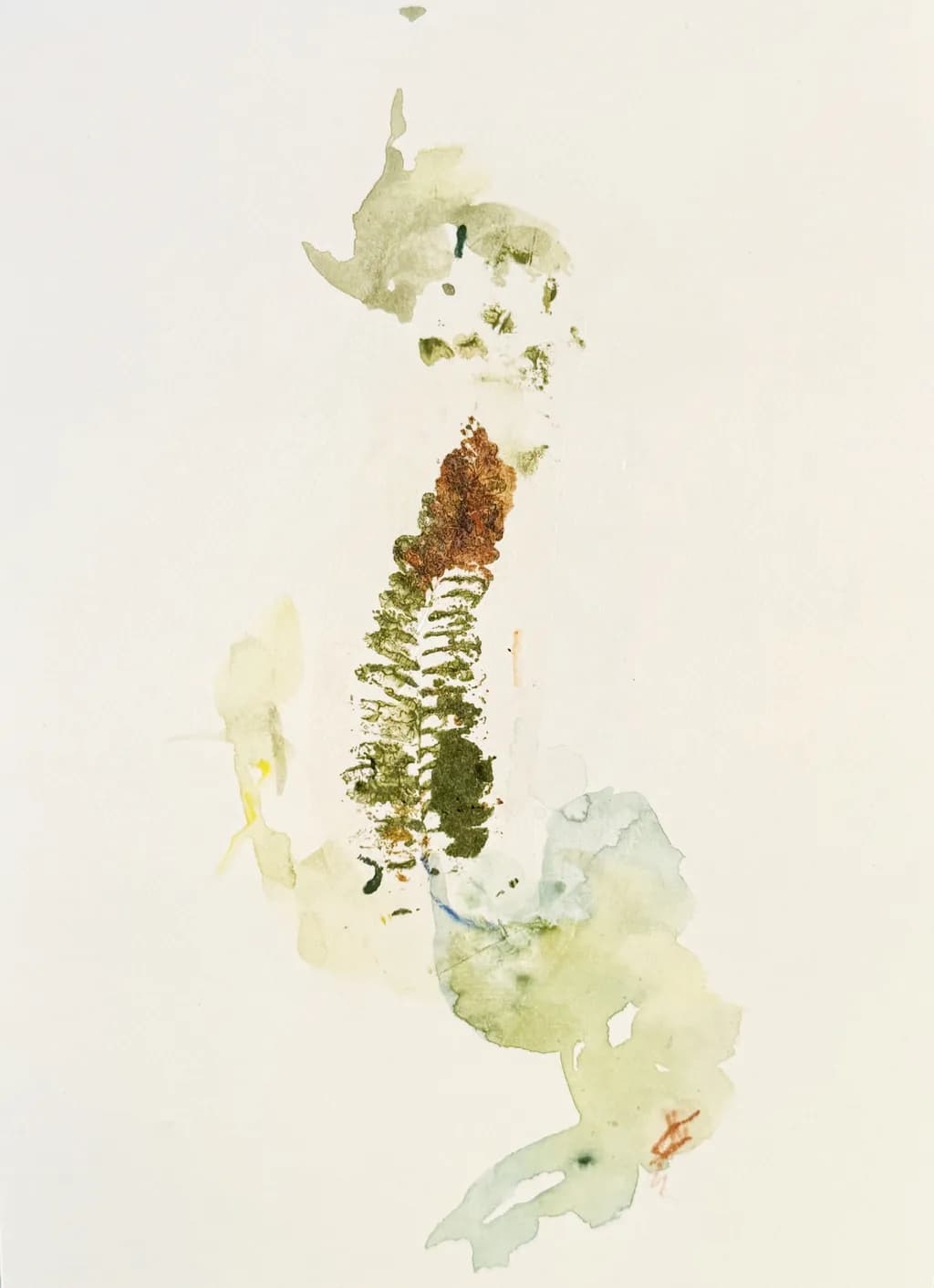 Fading Fern