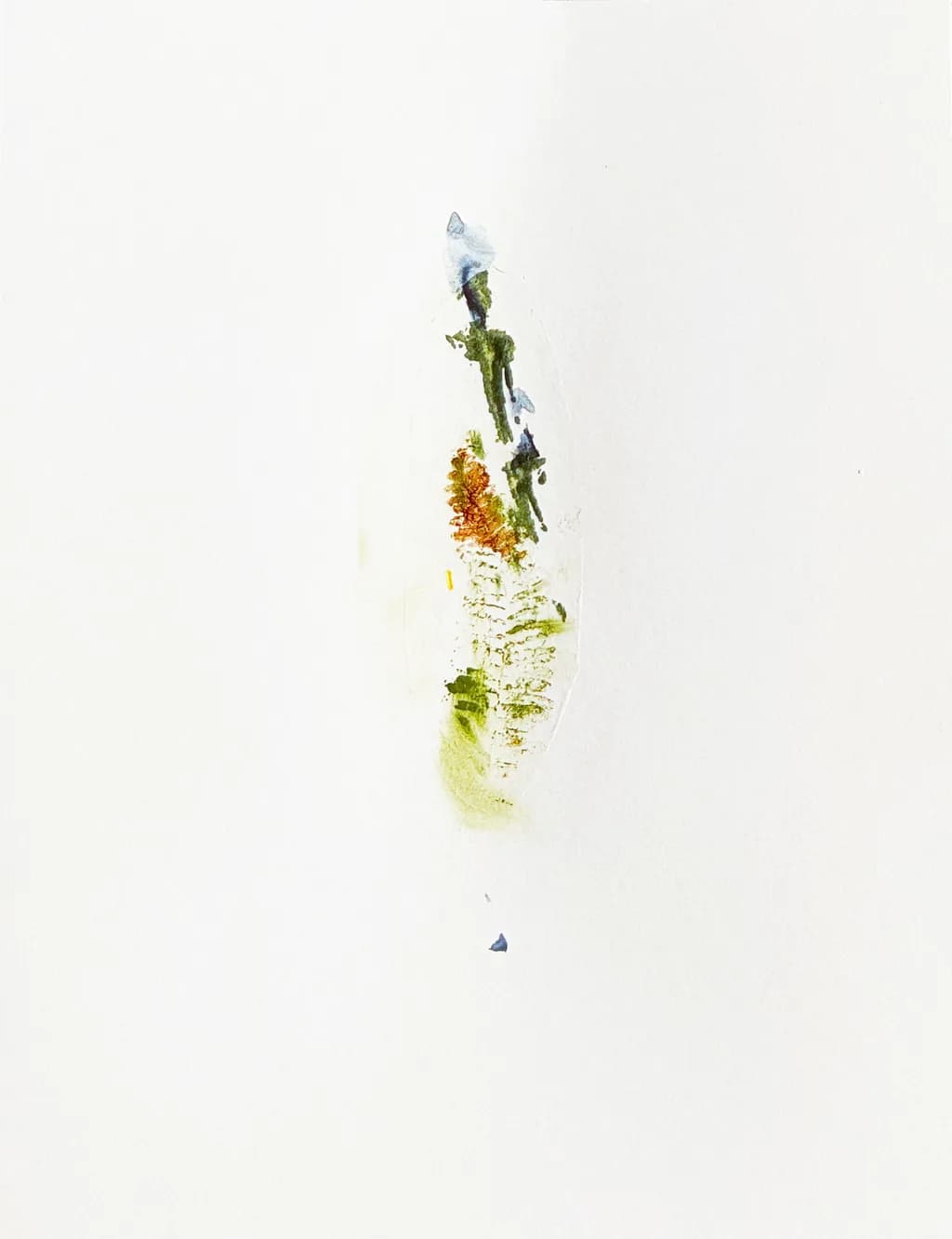 Fragmented Flora