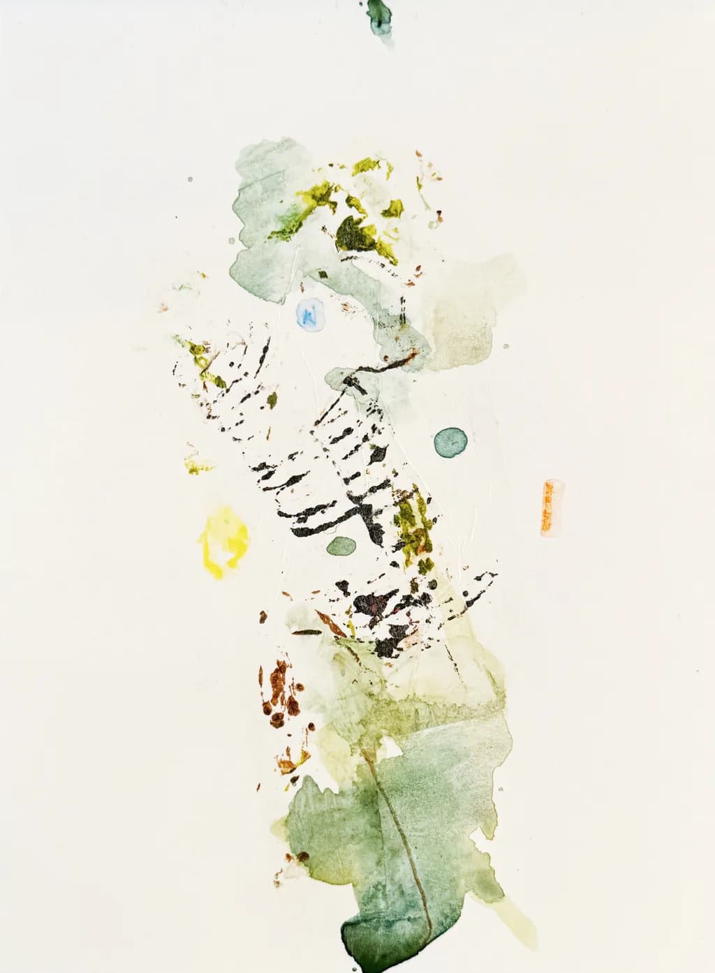 Fragmented Botanica